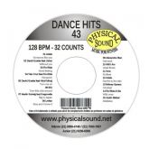 Dance Hits Vol.43